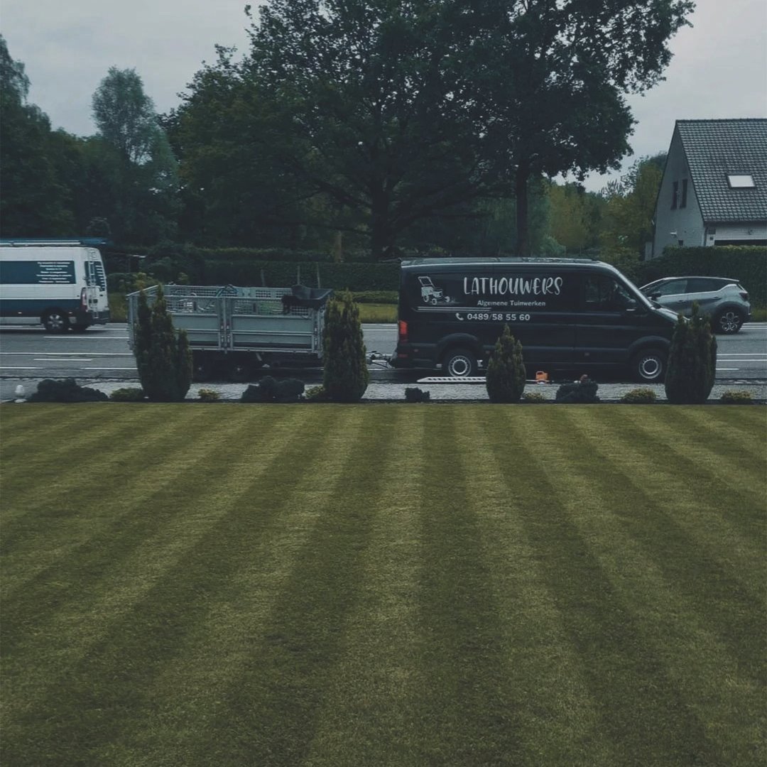 Lathouwers Algemen_0026_Screenshot_20241030_221324_Instagram